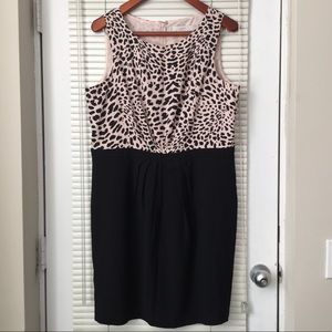 Ann Taylor Loft Dress Blush Pink and Black